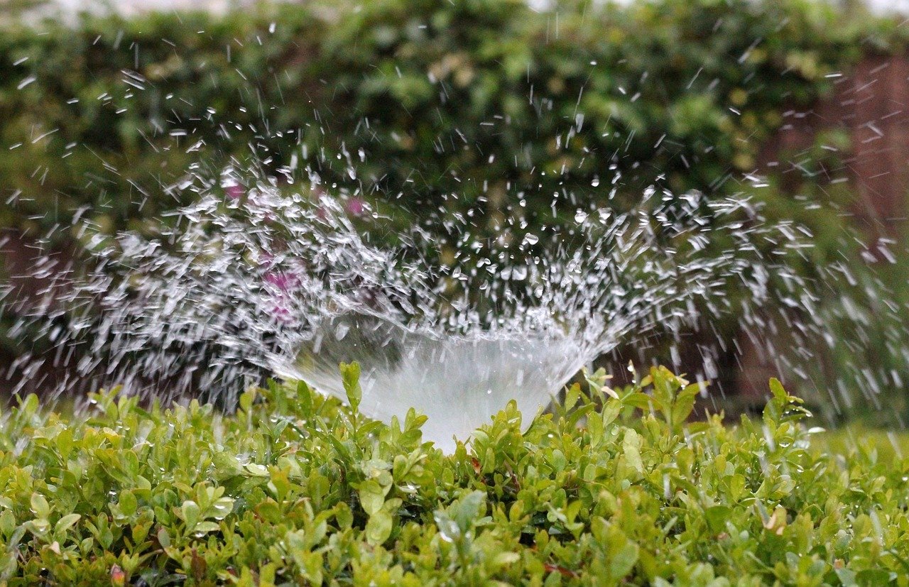 irrigation, nature, splash, water, sprinkler, to water, summer, greening, wet
